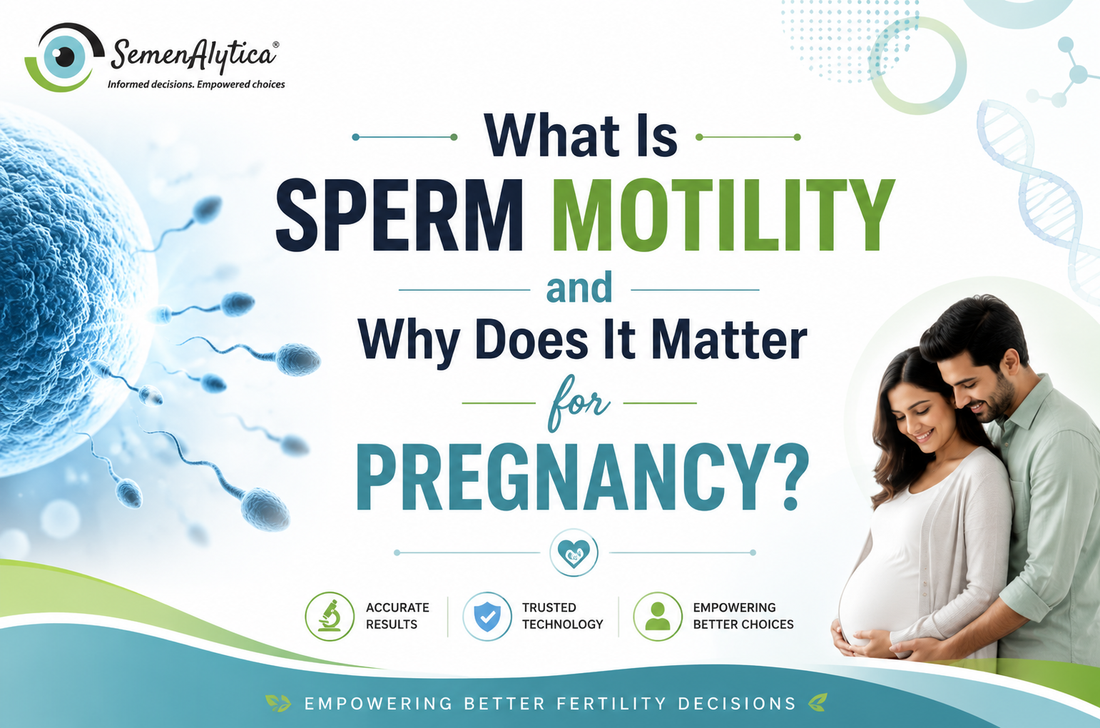 What Is Sperm Motility and Why Does It Matter for Pregnancy